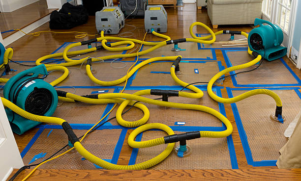 Professional Water Damage Repair technician working in New Home, TX