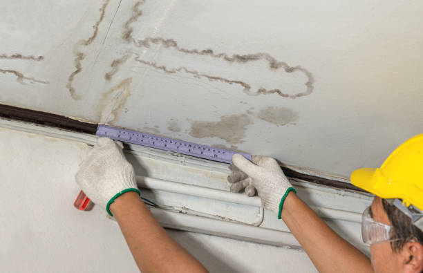 Affordable Water Damage Repair solutions in New Home, TX